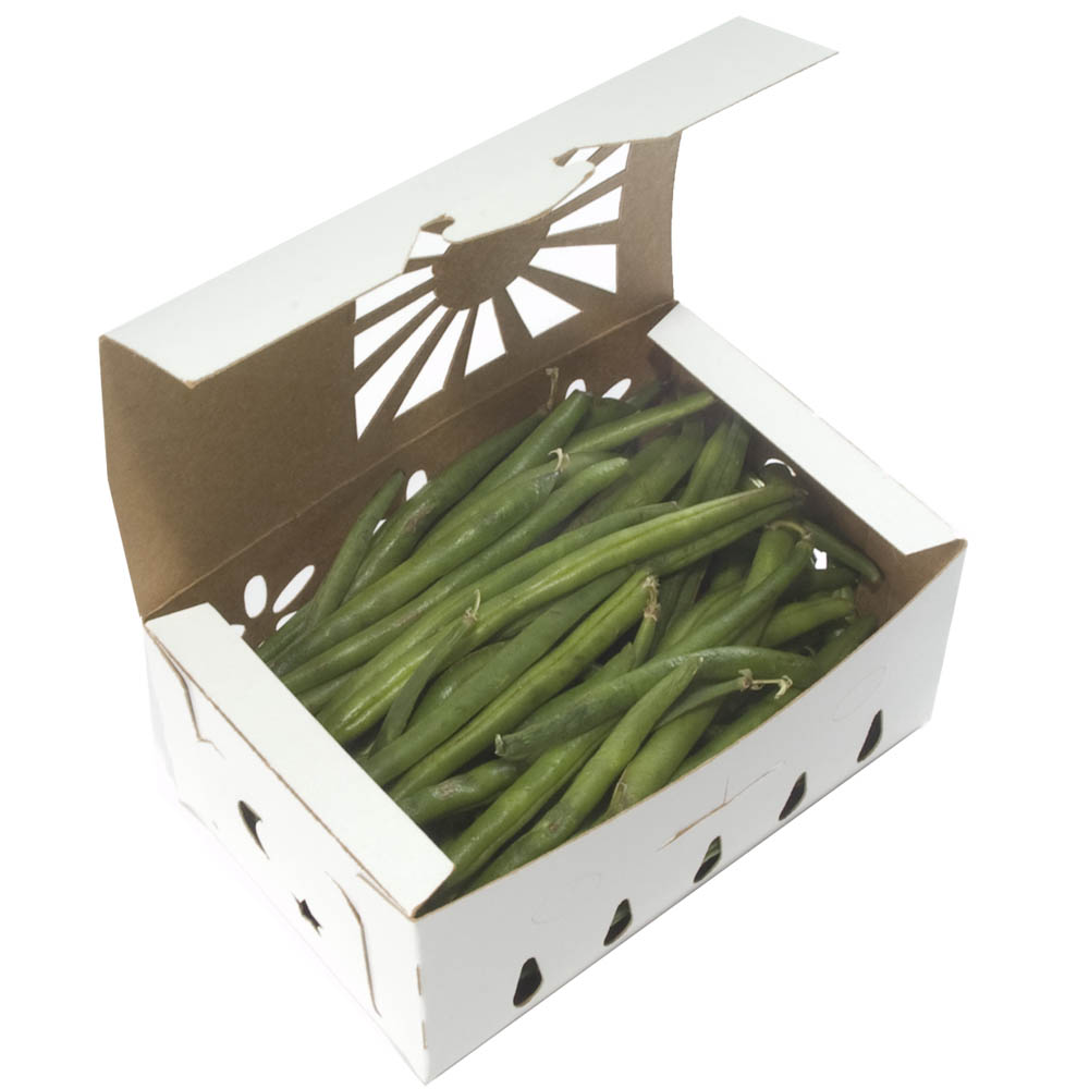 green bean container